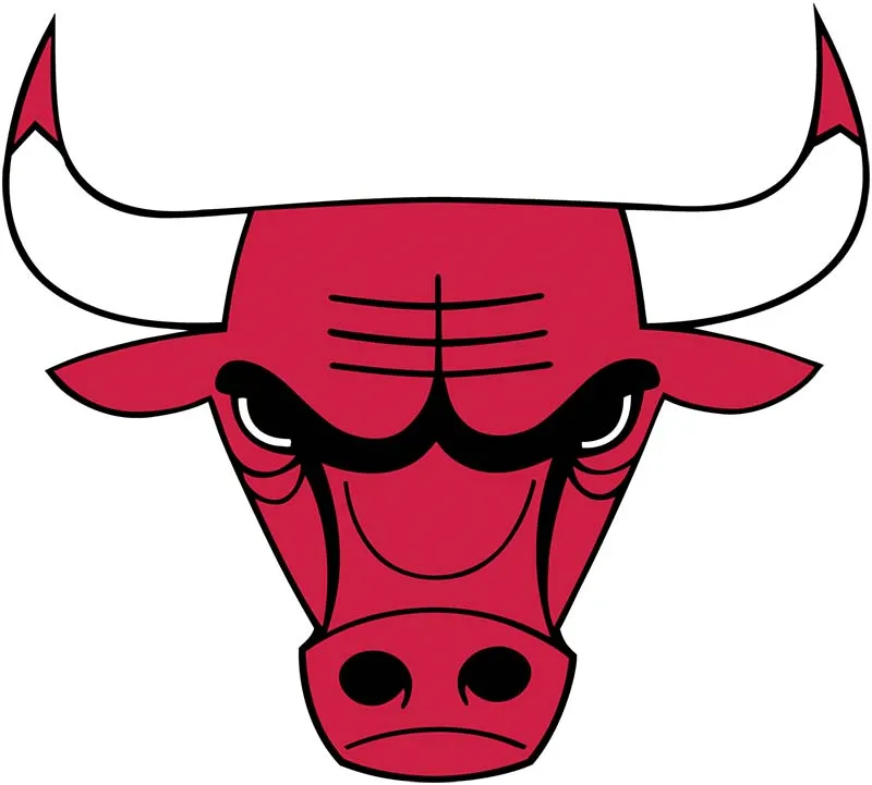 CHICAGO BULLS